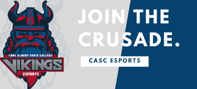 Vikings eSports
